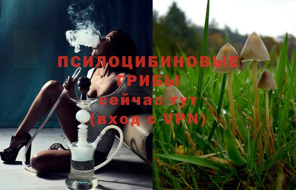 бутират Зеленодольск