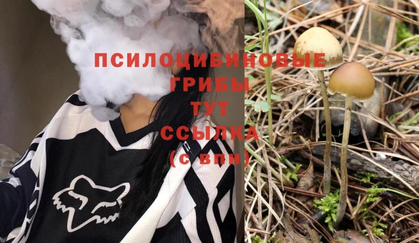 бутират Зеленодольск