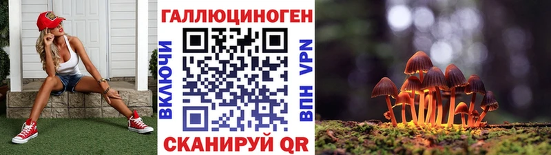 закладка Зубцов Псилоцибиновые грибы Psilocybe